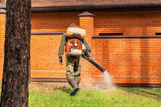 Trusted Termite Control service in Lake Wales, FL - Nex Pest Control